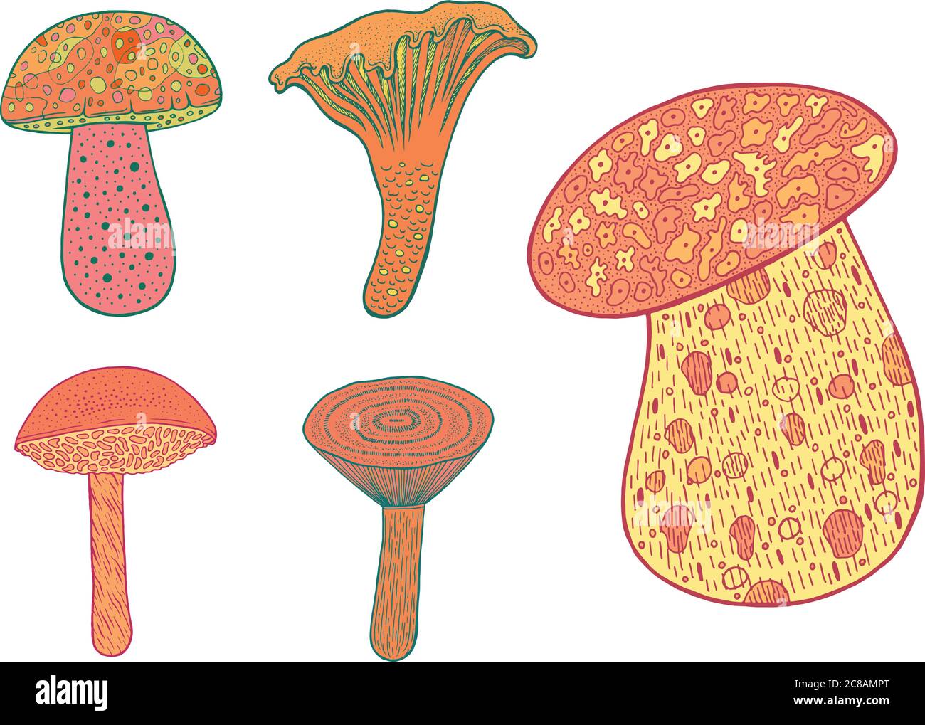 Funghi commestibili - Set. Pagina da colorare di cartoni animati Doodle per adulti - collezione Illustrazione Vettoriale