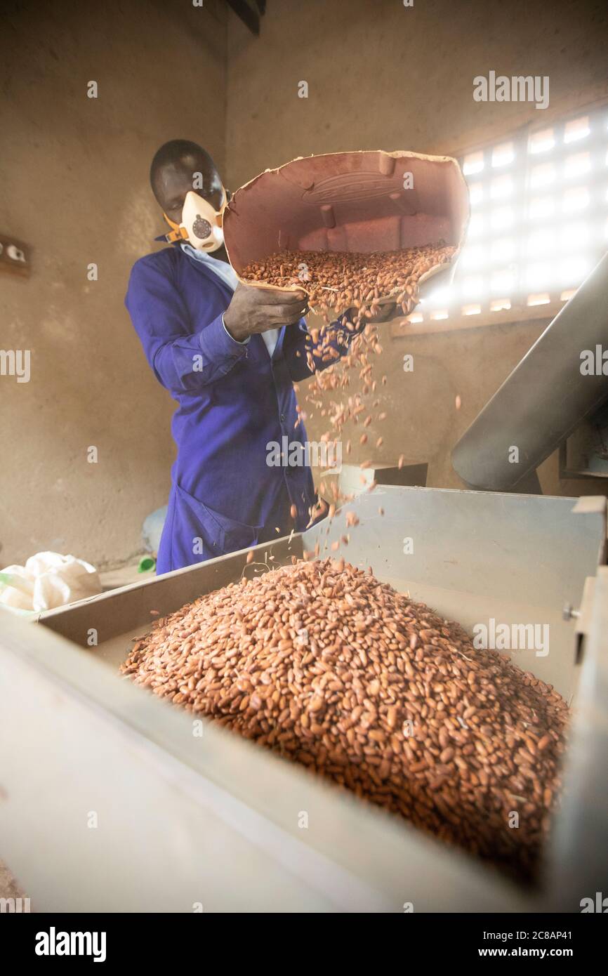 Un lavoratore versa i fagioli secchi in una macchina di raffinazione, che pulisce automaticamente polvere, detriti e pula da un raccolto commerciale di fagioli a Masaka, Uganda. Foto Stock