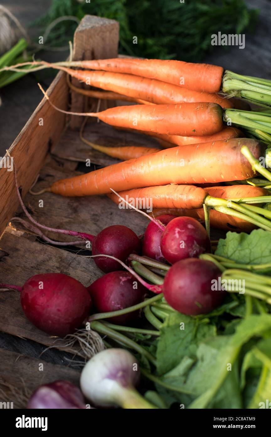 Verdure biologiche fresche in una scatola di legno. Concetto per verdure di radice, alimenti organici grezzi Foto Stock