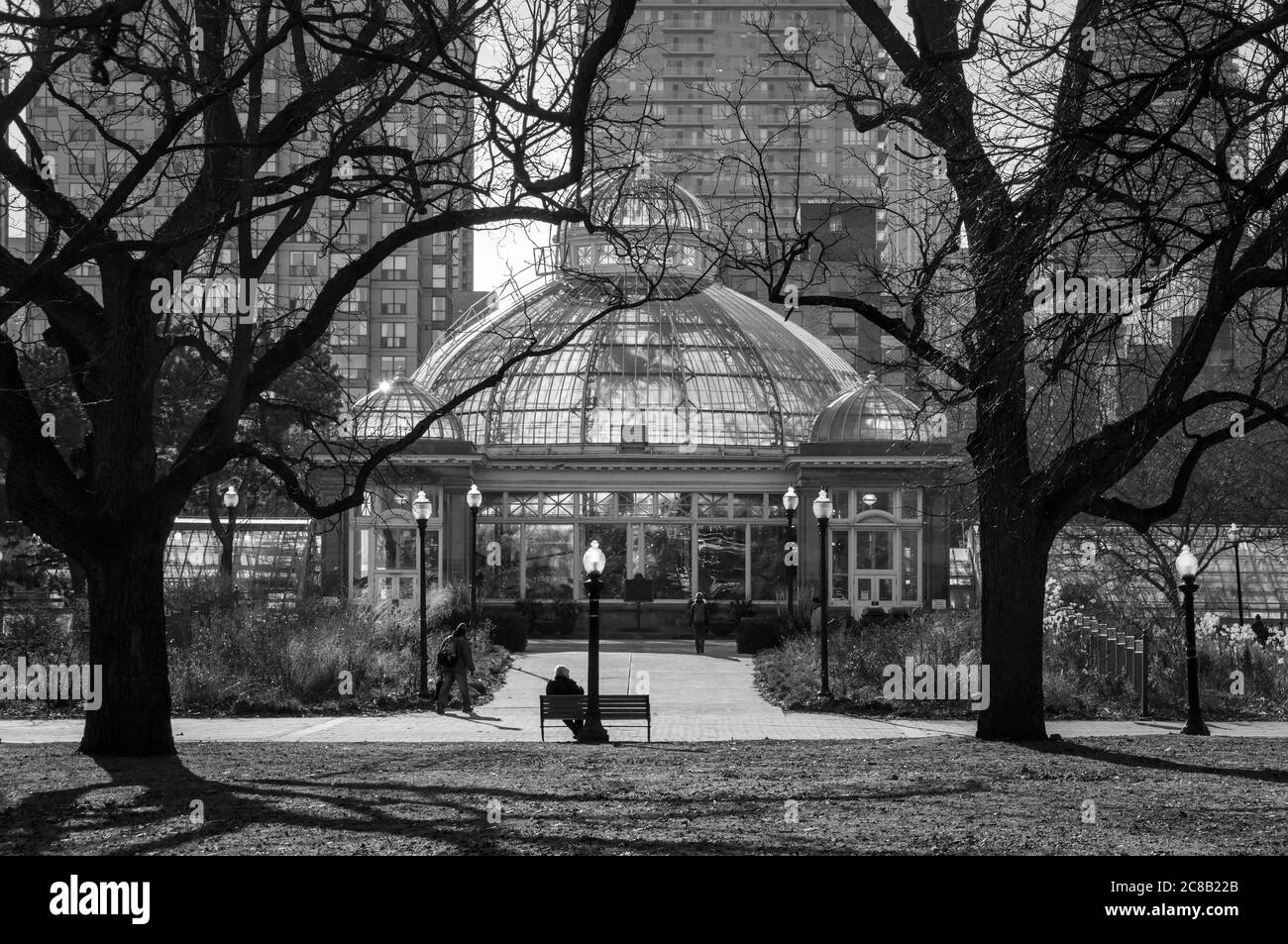 Tramonto di primavera nel Toronto Allan Gardens Park con una serra di fronte a edifici alti. Monocromatico Foto Stock