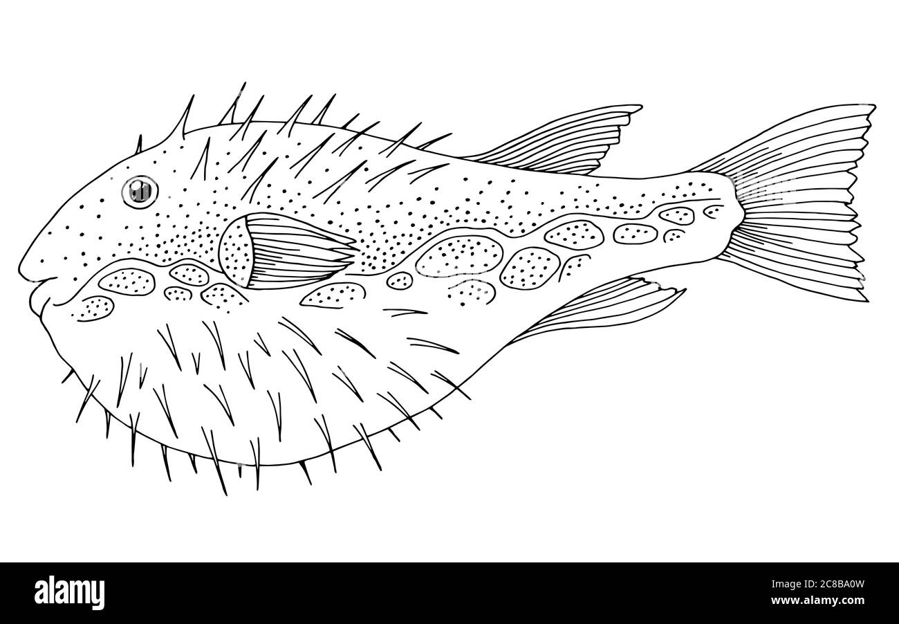 Grafico Puffer fish nero bianco vettore di illustrazione isolato Illustrazione Vettoriale