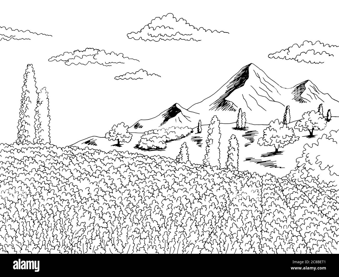 Lavanda campo fiore grafico bianco nero disegno paesaggio vettore illustrazione Illustrazione Vettoriale