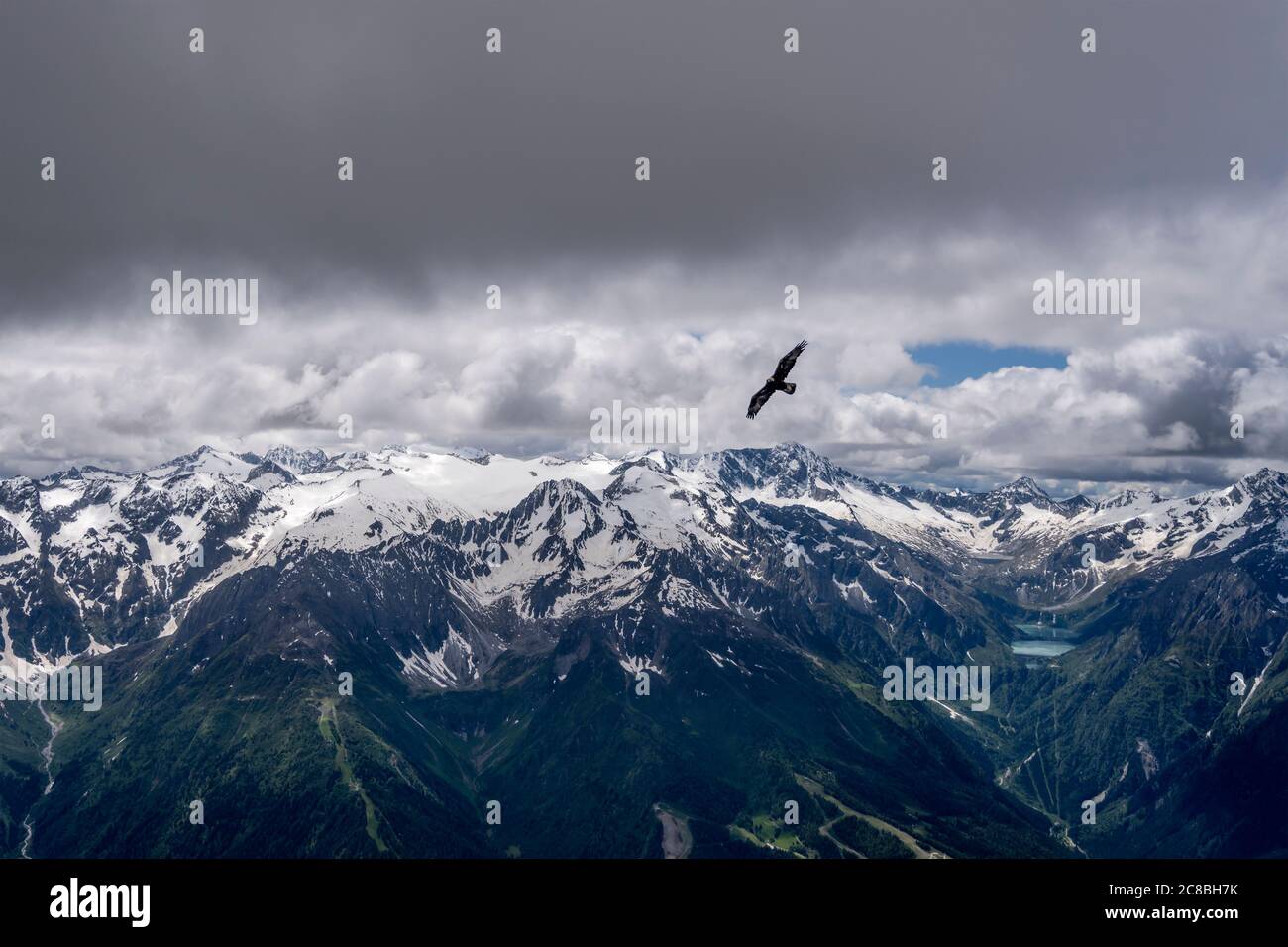 Scatto aereo, da un velivolo, di aquila alla base nuvolosa con la gamma Avio sullo sfondo , girato nelle Alpi in una luce brillante in tarda primavera, Brescia, Lombardia, Foto Stock