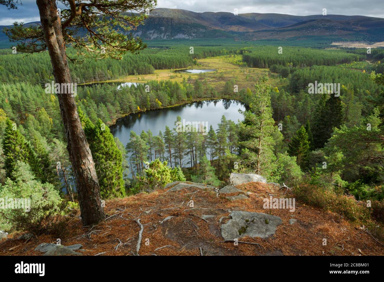 Vista elevata su Uath Lochan, che guarda verso il massiccio di Cairngorms nelle Highlands scozzesi Foto Stock