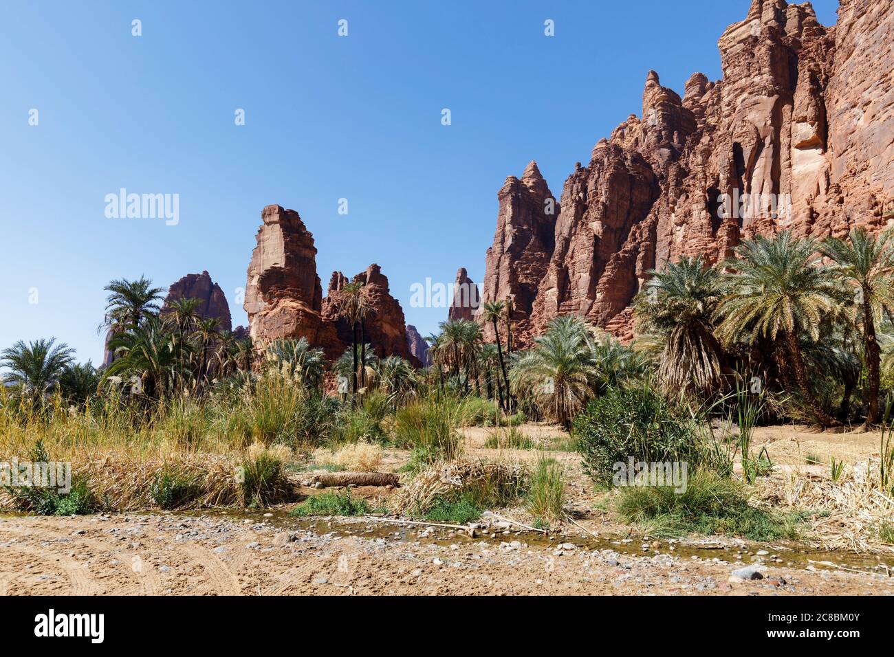 Wadi Disah, noto anche come Wadi Qaraqir, è un canyon lungo 15 chilometri che attraversa il Jebel Qaraqir, un massiccio di arenaria che si estende per circa 80 chilometri Foto Stock
