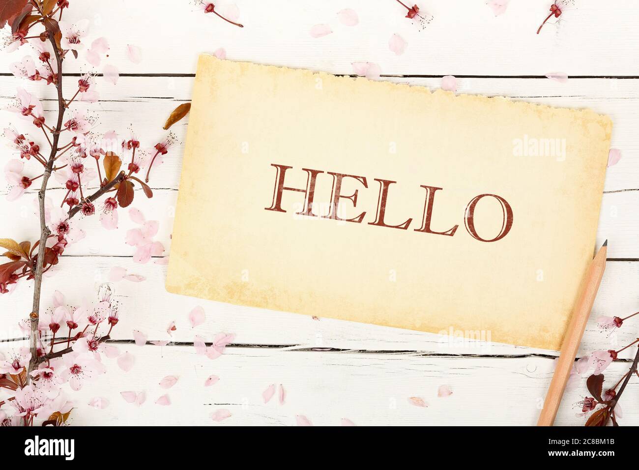 ciao scritto su carta invecchiata con ramoscello di mandorle su legno bianco Foto Stock