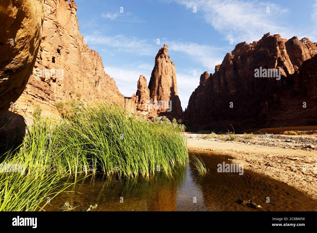 Wadi Disah, noto anche come Wadi Qaraqir, è un canyon lungo 15 chilometri che attraversa il Jebel Qaraqir, un massiccio di arenaria che si estende per circa 80 chilometri Foto Stock