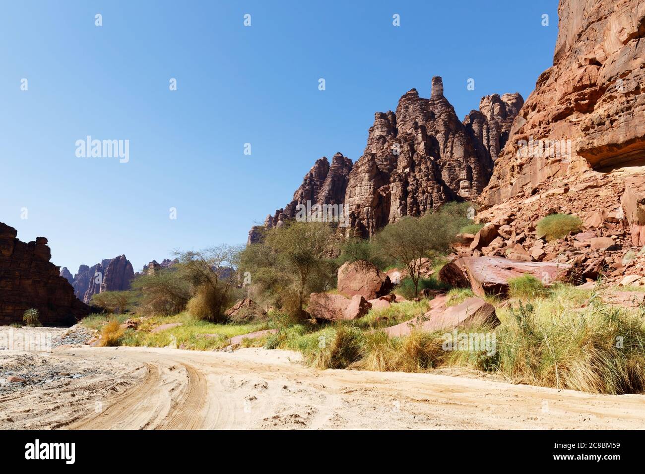 Wadi Disah, noto anche come Wadi Qaraqir, è un canyon lungo 15 chilometri che attraversa il Jebel Qaraqir, un massiccio di arenaria che si estende per circa 80 chilometri Foto Stock