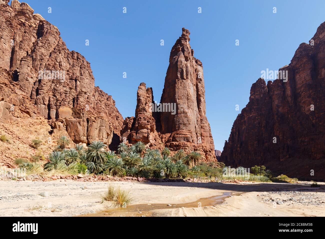 Wadi Disah, noto anche come Wadi Qaraqir, è un canyon lungo 15 chilometri che attraversa il Jebel Qaraqir, un massiccio di arenaria che si estende per circa 80 chilometri Foto Stock