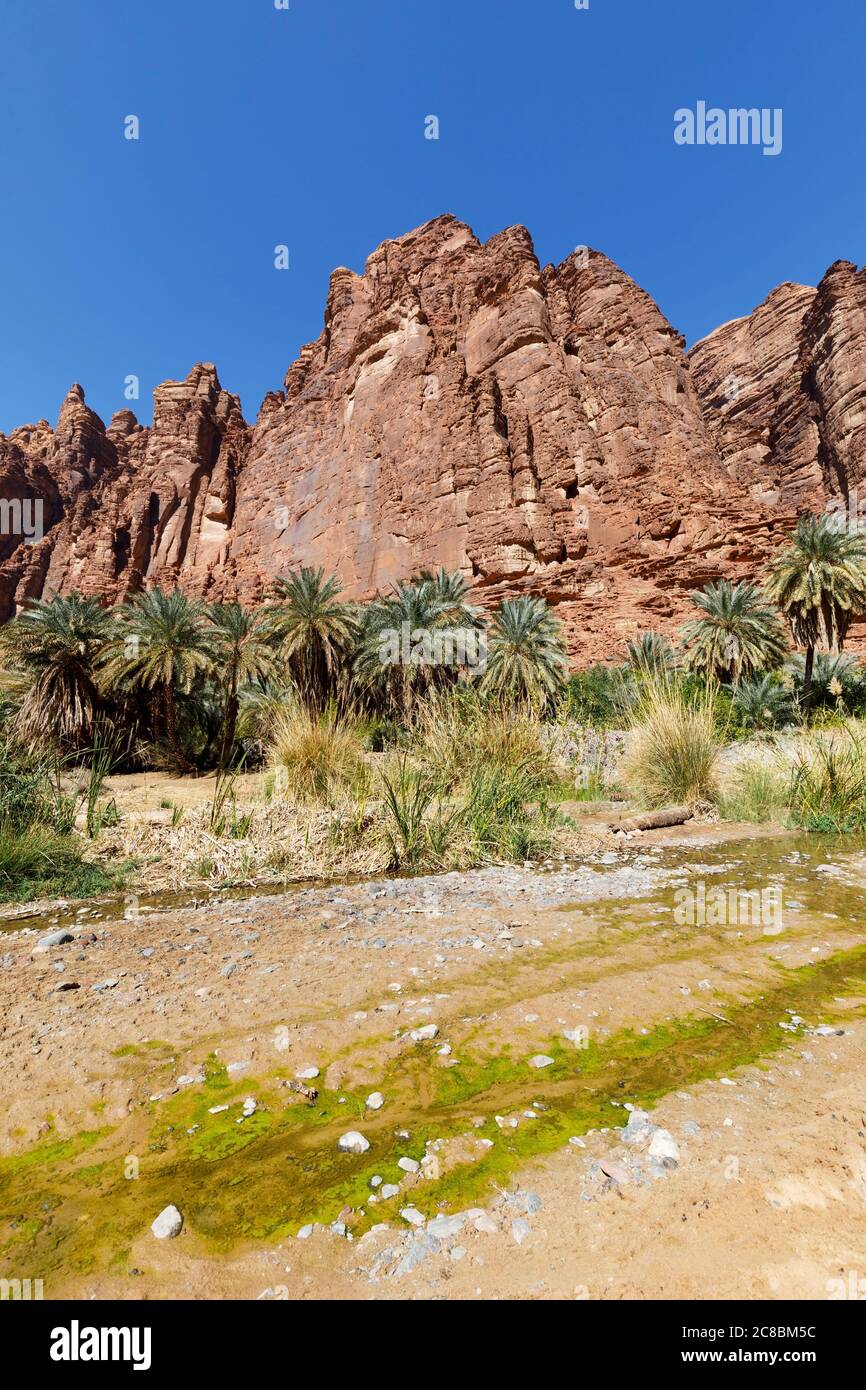 Wadi Disah, noto anche come Wadi Qaraqir, è un canyon lungo 15 chilometri che attraversa il Jebel Qaraqir, un massiccio di arenaria che si estende per circa 80 chilometri Foto Stock