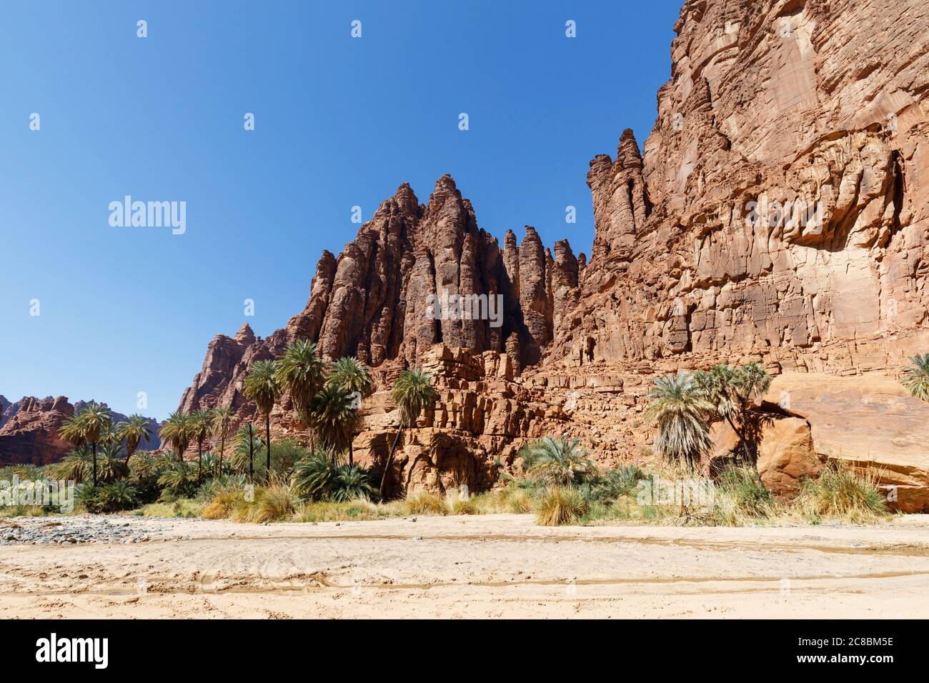 Wadi Disah, noto anche come Wadi Qaraqir, è un canyon lungo 15 chilometri che attraversa il Jebel Qaraqir, un massiccio di arenaria che si estende per circa 80 chilometri Foto Stock