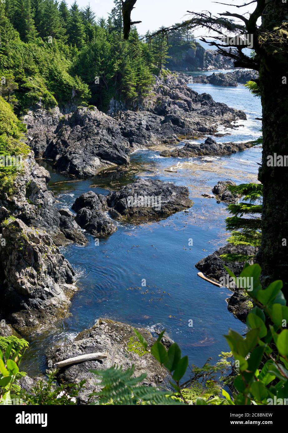 Litorale roccioso visto dal Wild Pacific Trail a Ucluelet, British Columbia, Canada Foto Stock