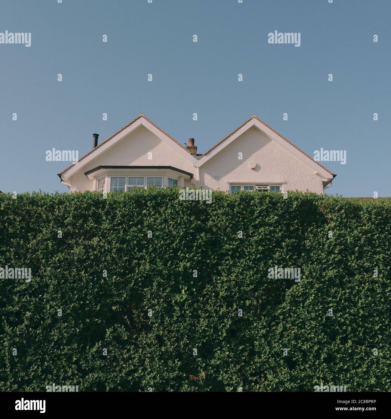 Una tipica casa suburbana a forma di M / a doppia spiovente / a doppio tetto a timpano metà nascosto proprietà dietro un alto giardino verde siepe con cielo blu. Foto Stock