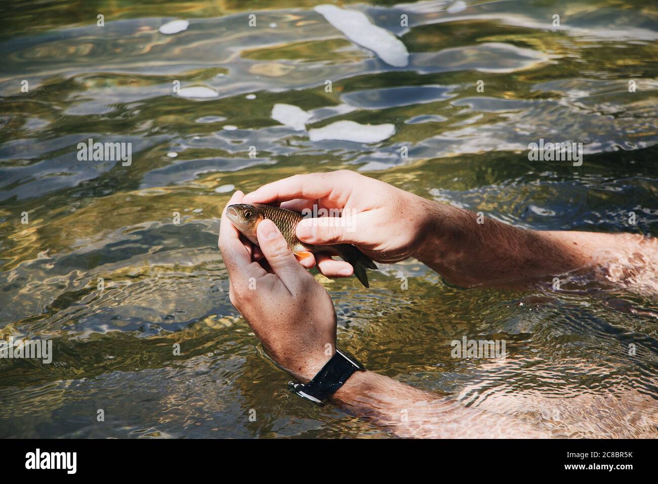 Colpo di primo piano di un pescatore con un piccolo pesce dentro mani Foto Stock