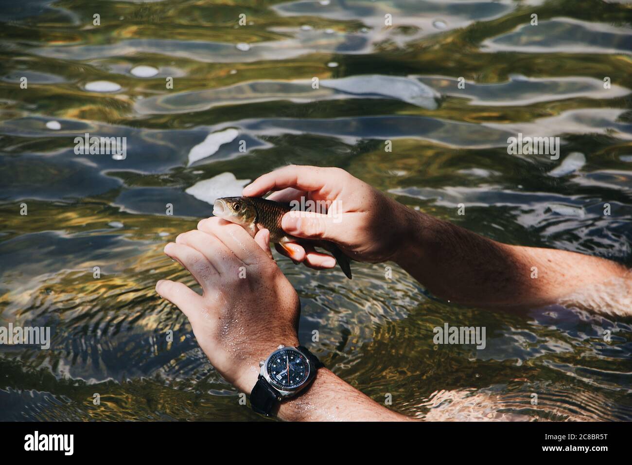 Colpo di primo piano di un pescatore con un piccolo pesce dentro mani Foto Stock