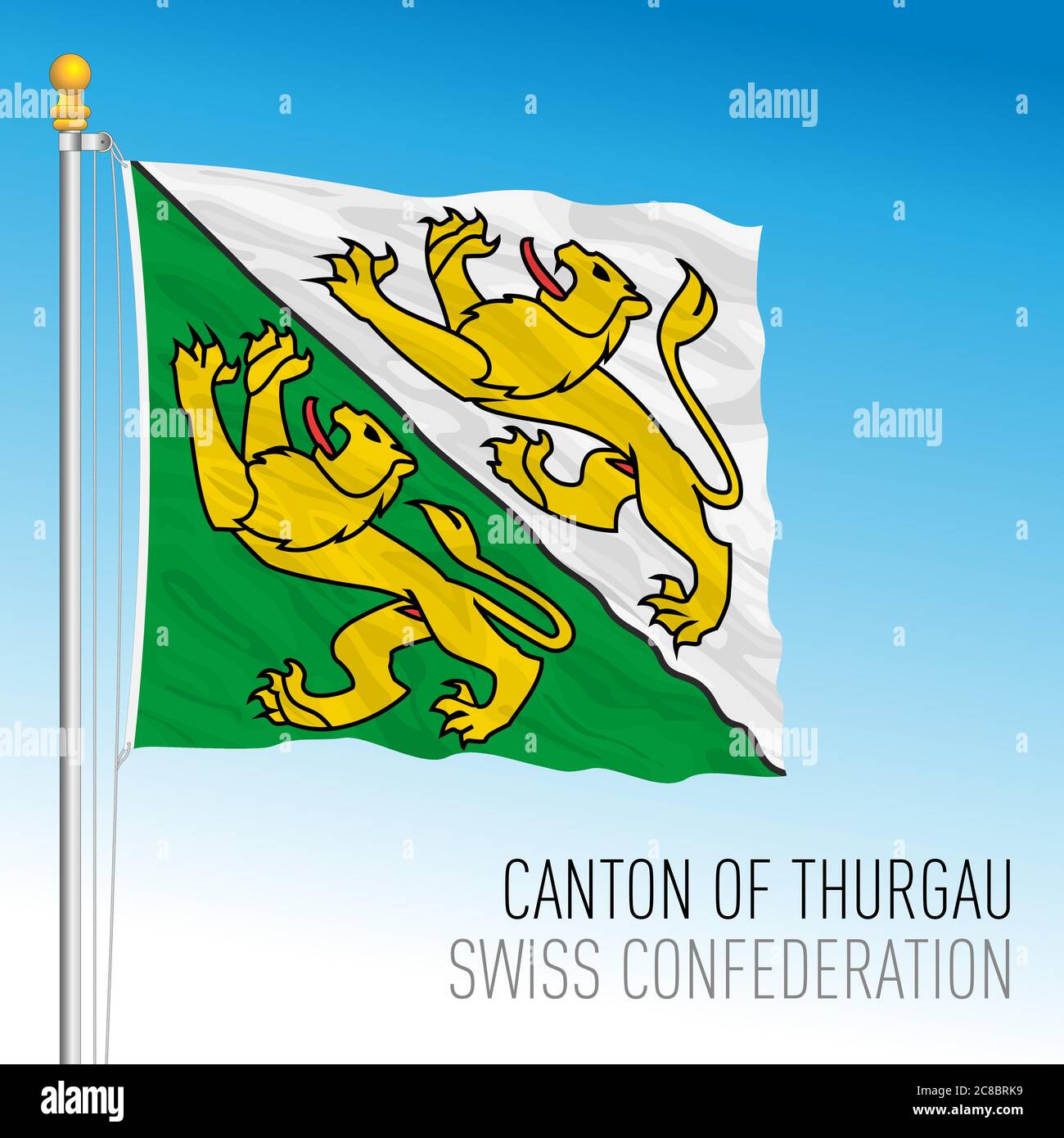 Cantone di Turgovia, bandiera ufficiale, Svizzera, paese europeo, illustrazione vettoriale Illustrazione Vettoriale