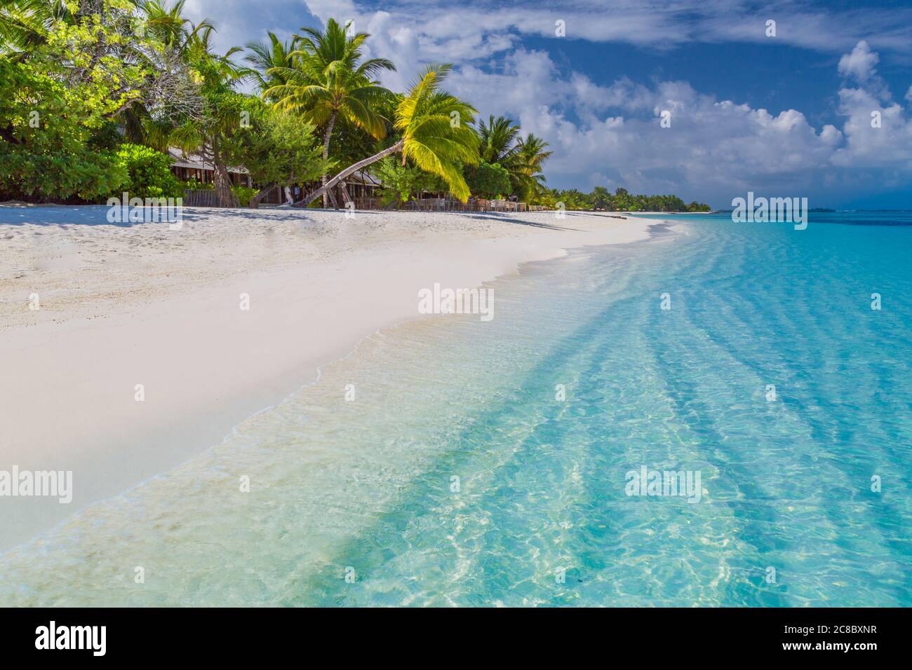 Stagione balneare in isola estiva di lusso. Concetto di paesaggio paradisiaco, mare calmo, sabbia bianca, palme. Lusso in spiaggia. Atmosfera rilassante, viaggio di vacanza Foto Stock