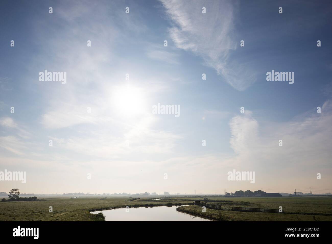 Vista panoramica verde e pianeggiante del polder Boterhuis nel cuore verde Groene hart dei Paesi Bassi Olanda. Foto Stock