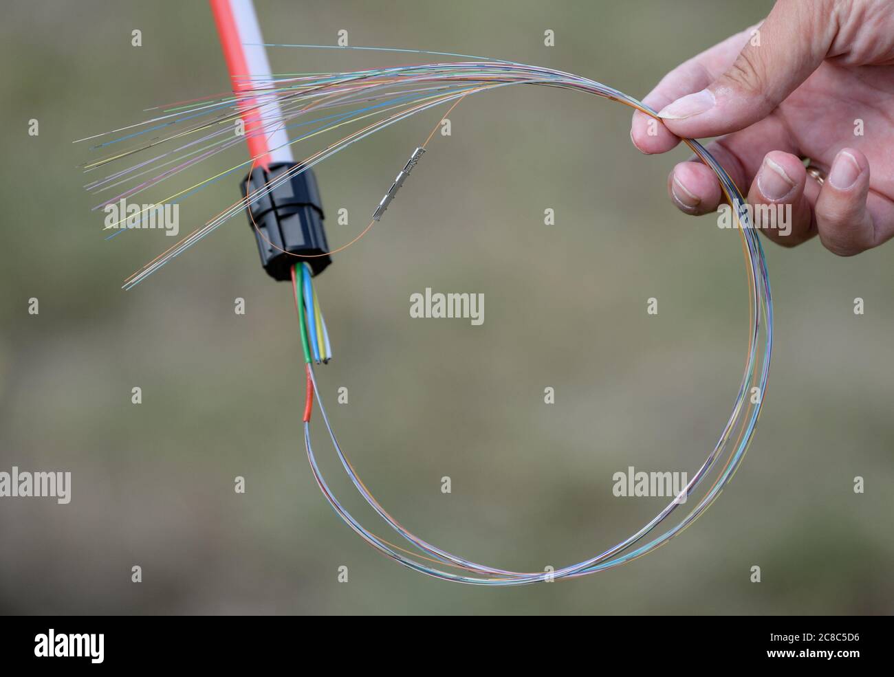 23 luglio 2020, Brandenburg, Schwedt/Oder: Una mano tiene cavi in fibra ottica per l'espansione della banda larga. Il distretto di Uckermark è nei blocchi di partenza per una fornitura di Internet a prova di futuro. Oggi si sta svolgendo la cerimonia rivoluzionaria per l'obiettivo di espansione di un Gigabit al secondo. Una volta ultimato il lavoro, circa 1,800 famiglie private e 300 unità commerciali nella sola area del progetto Schwedt ne trarranno beneficio. Il Ministero dell'Economia del Brandeburgo sostiene il distretto nell'espansione della banda larga con 52 milioni di euro. Insieme ai fondi del fondo federale per la banda larga Foto Stock