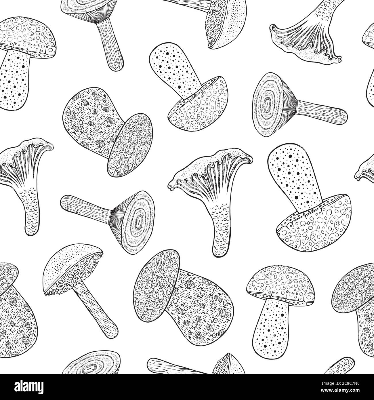 Funghi commestibili - modello senza cuciture. Pagina di colorazione dei cartoni animati di Doodle per gli adulti. Illustrazione vettoriale Illustrazione Vettoriale