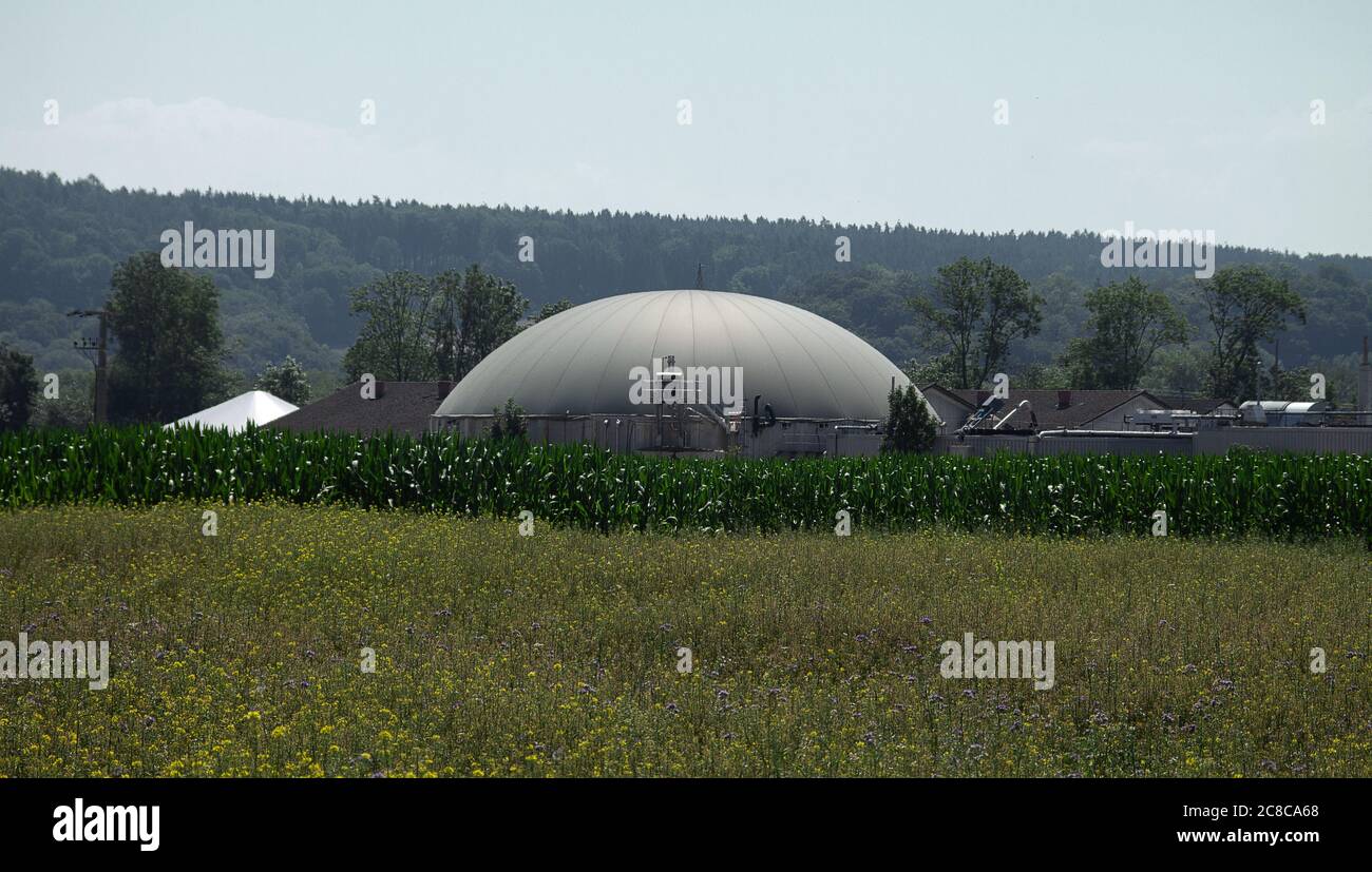 La cupola di una pianta di biogas, in primo piano un prato di fiori e un campo di mais. Foto Stock