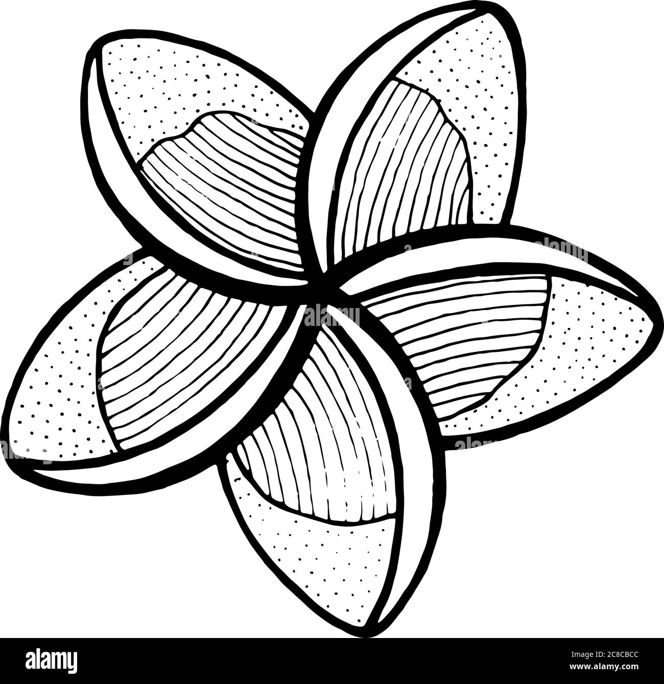 Pagina di colorazione Lumeria. Linea d'arte per colorare libri f o bambini e adulti. Illustrazione. Foto Stock