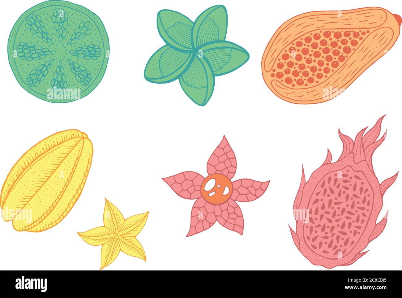 Set di frutta esotica tropicale - collezione con elementi isolati di colore pastello. Illustrazione vettoriale Illustrazione Vettoriale