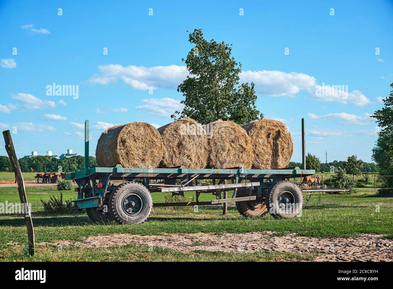 Un vecchio rimorchio con balle di paglia in piedi in un prato. Foto Stock