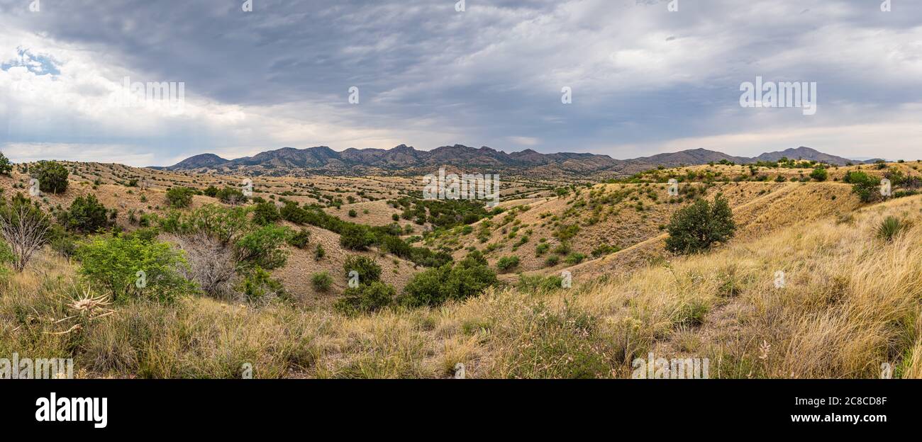 Le montagne di Santa Rita, a circa 40 chilometri a sud-est di Tucson, Arizona, ospitano l'unica jaguar selvaggia conosciuta negli Stati Uniti. Foto Stock