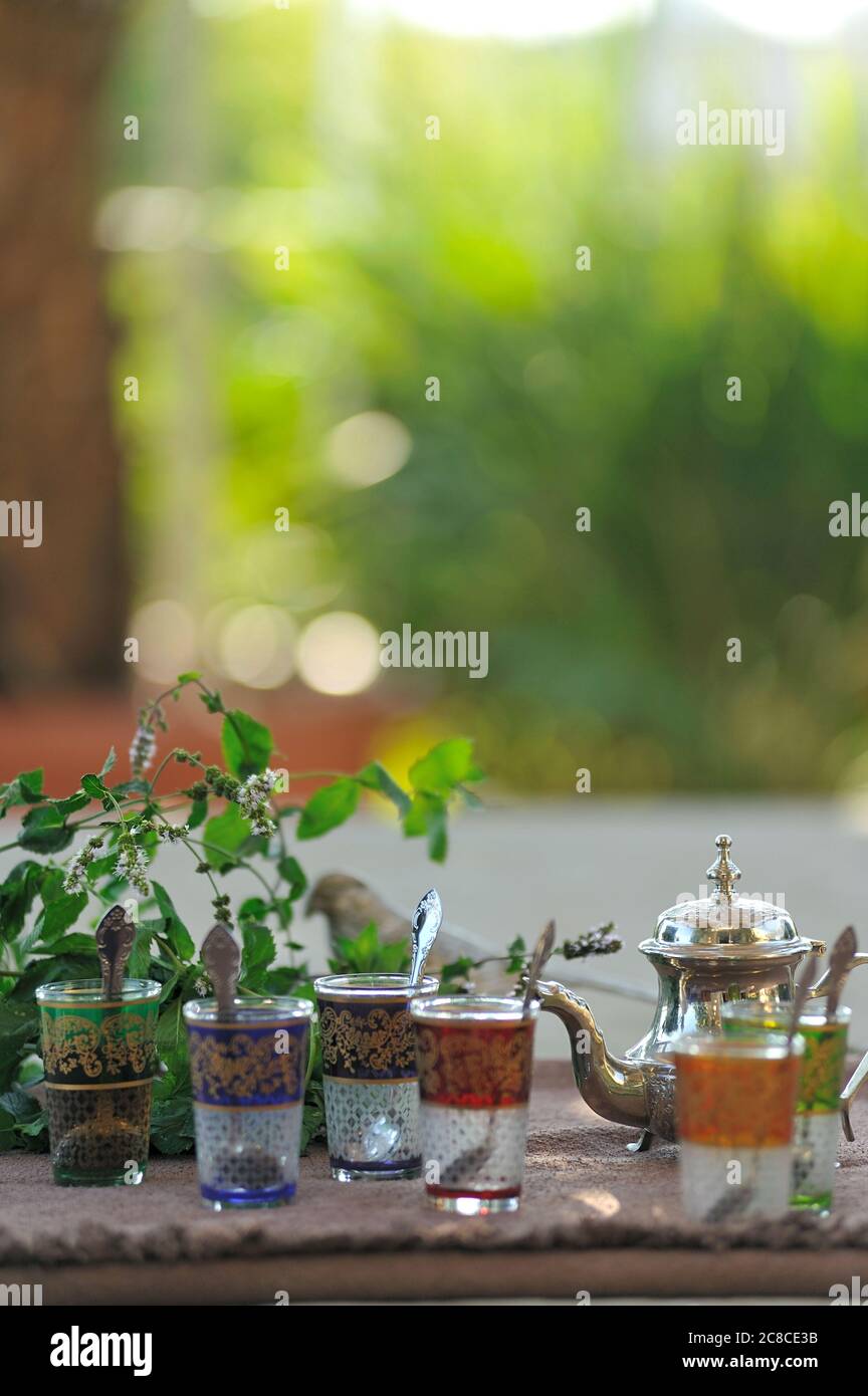 Tavolo da pranzo in terrazza, stile design, mobili da esterno, tavolo in polistirene, sgabelli in polistirene, piante verdi. Foto Stock