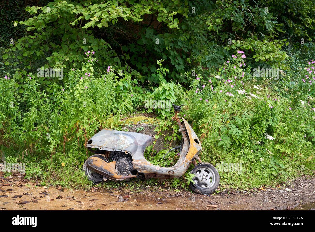 Un ciclomotore bruciato abbandonato a lato di una strada, Cardiff, Galles del Sud Foto Stock Un ciclomotore bruciato abbandonato a lato di una strada, Cardiff, Galles del Sud Foto Stock