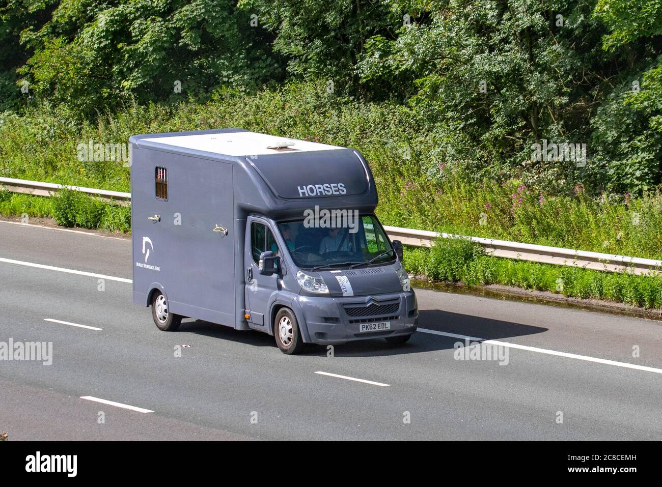 2012 Citroën relè 35 L4H2 Heavy HDI Hunter, furgone; trasporto equino costruito e convertito in pullman che viaggia sull'autostrada M6, Lancashire, Regno Unito Foto Stock