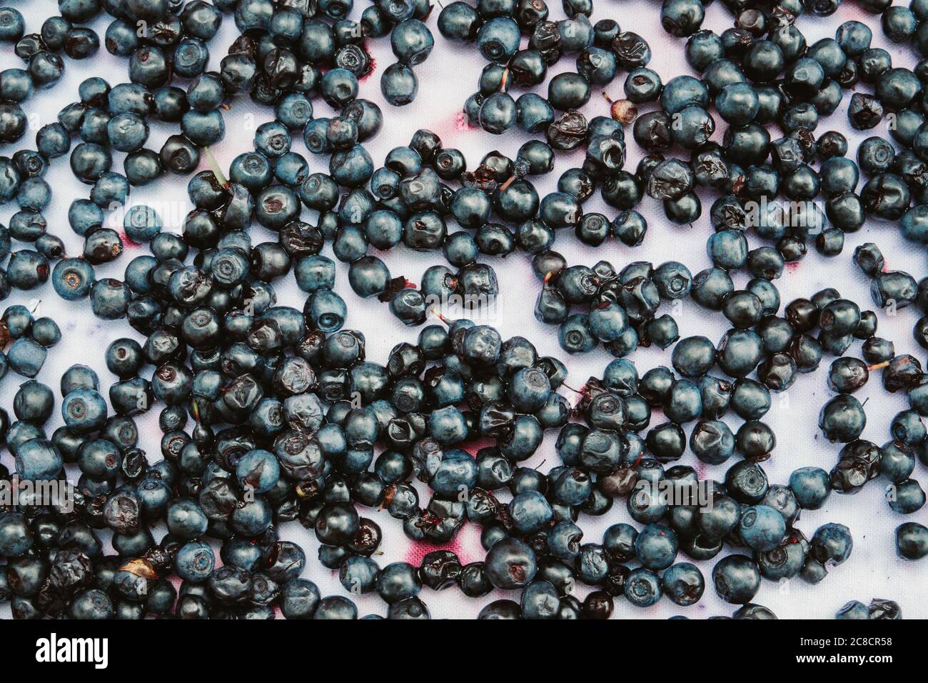 Mirtillo fresco preparato per la marmellata su un tessuto bianco Foto Stock