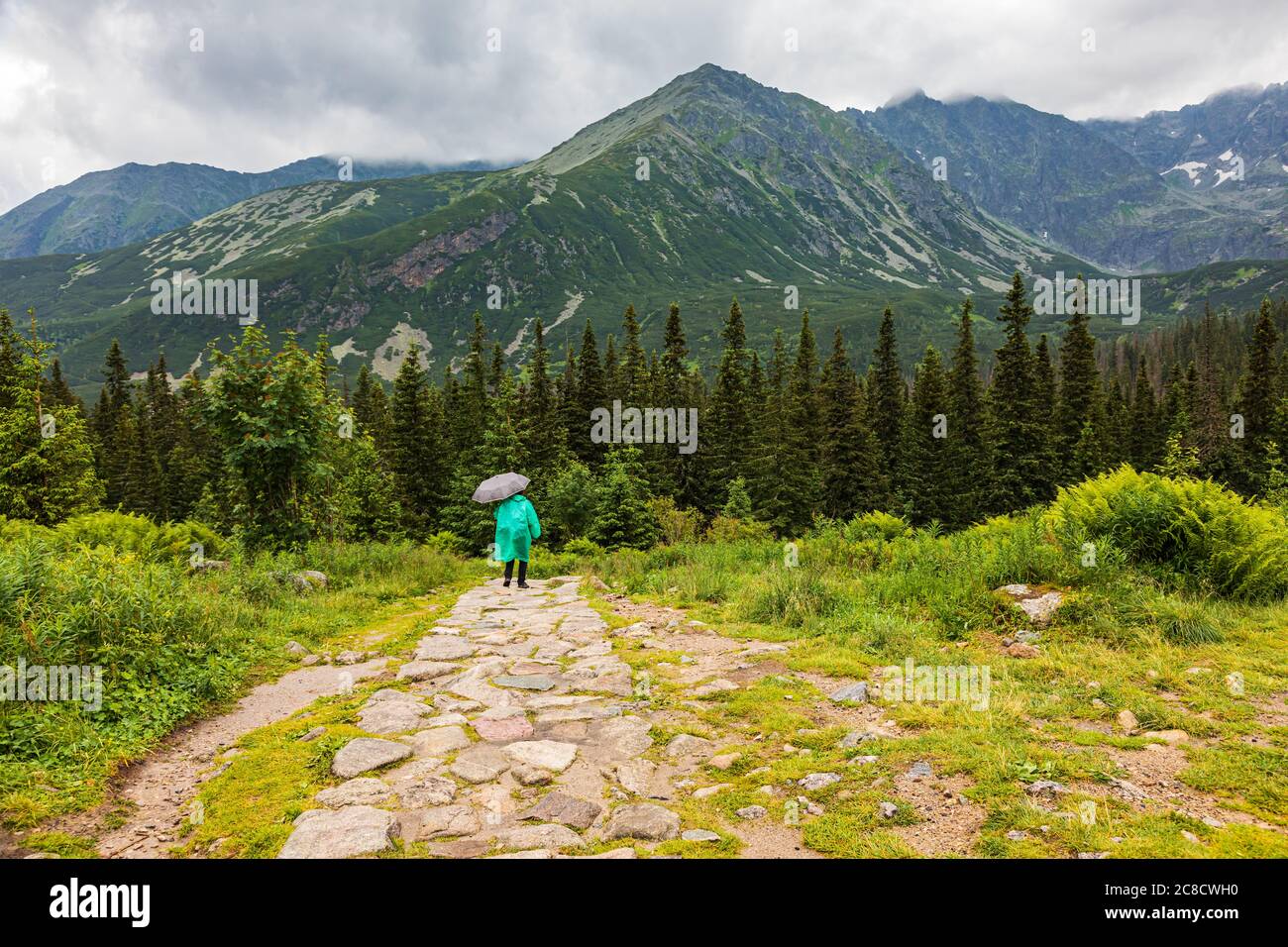 Escursionista in impermeabile verde e ombrello camminando nei monti Tatra Foto Stock