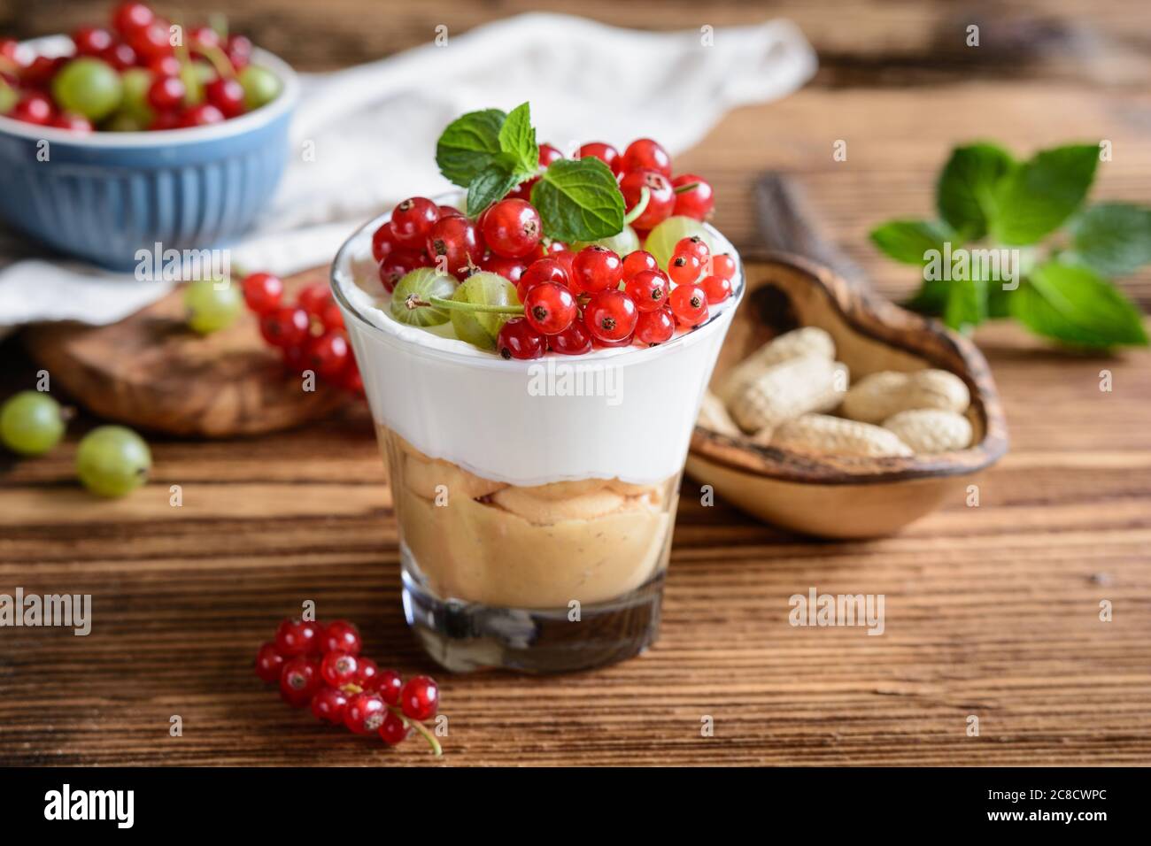 Rinfrescante dessert estivo al formaggio cremoso con burro di arachidi e biscotti di spugna, conditi con frutti di bosco freschi e ribes rosso Foto Stock
