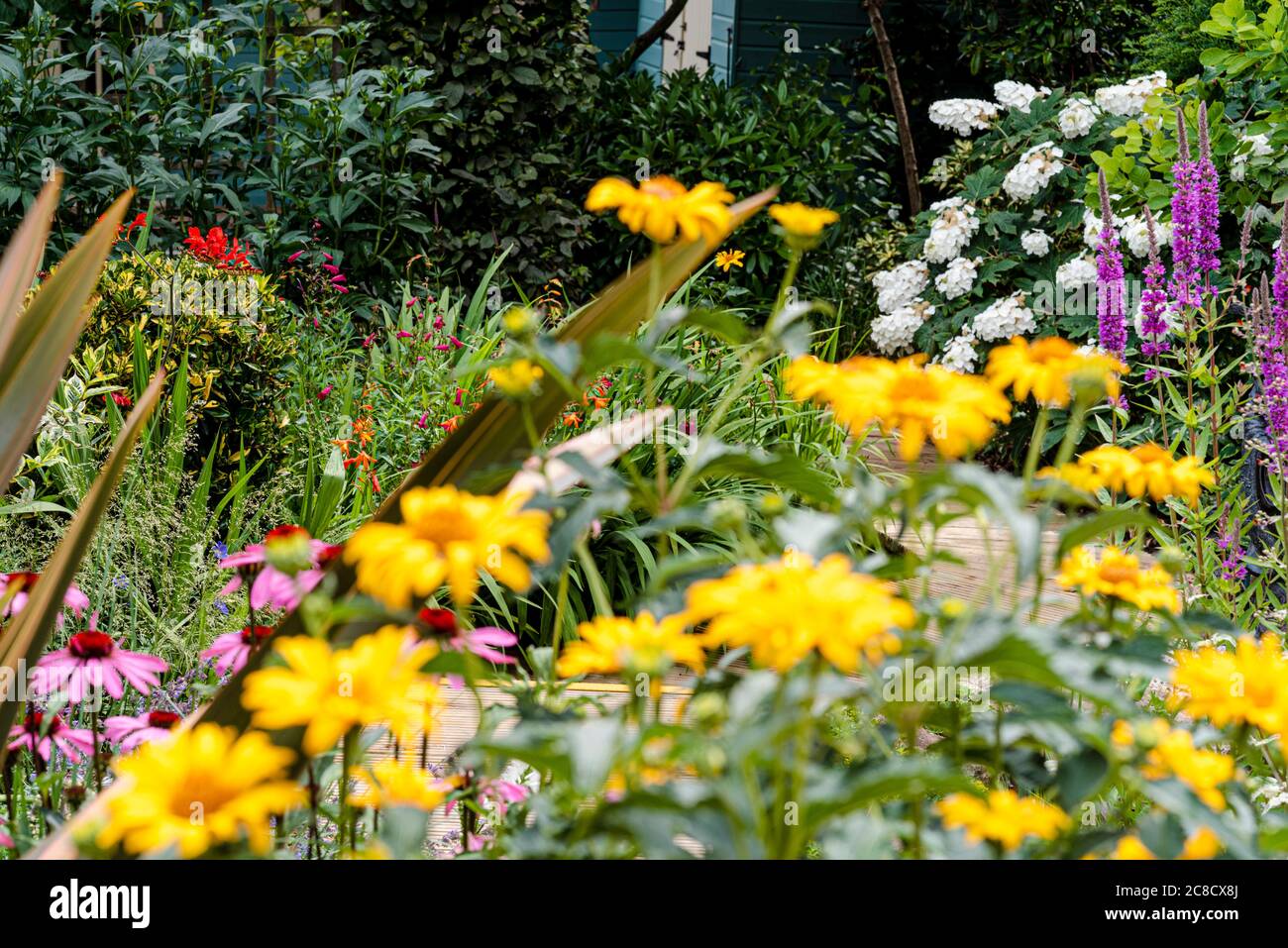 confine fiorito estivo occupato Foto Stock