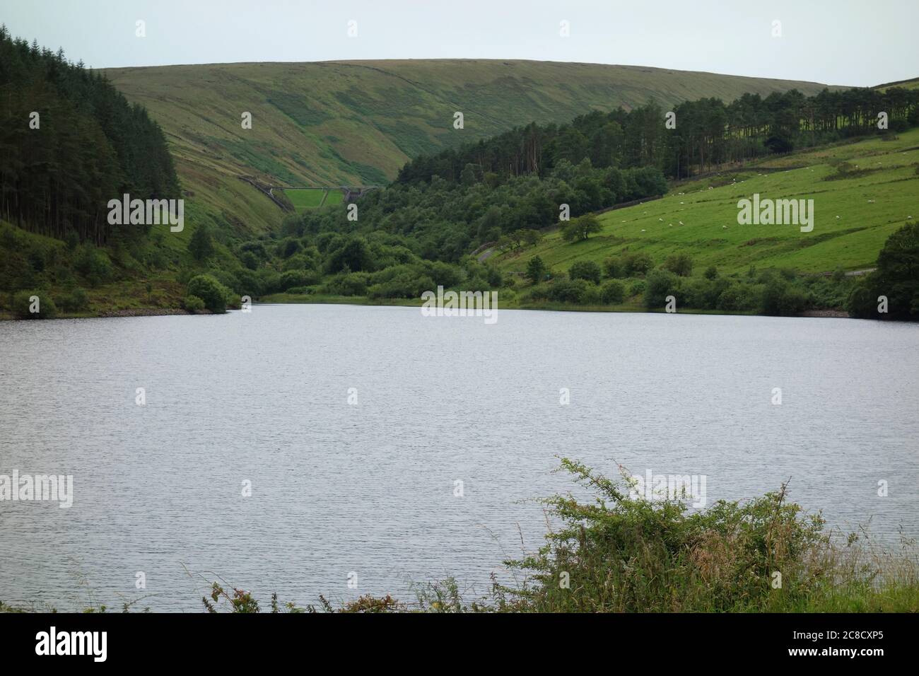 Lower Ogden Reservoir from the Dam Wall in Ogden Clough on Pendle Hill near the Village of Barley, Lancashire, England., UK. Foto Stock