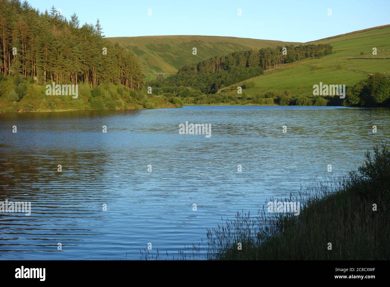 Lower Ogden Reservoir from the Dam Wall in Ogden Clough on Pendle Hill near the Village of Barley, Lancashire, England., UK. Foto Stock