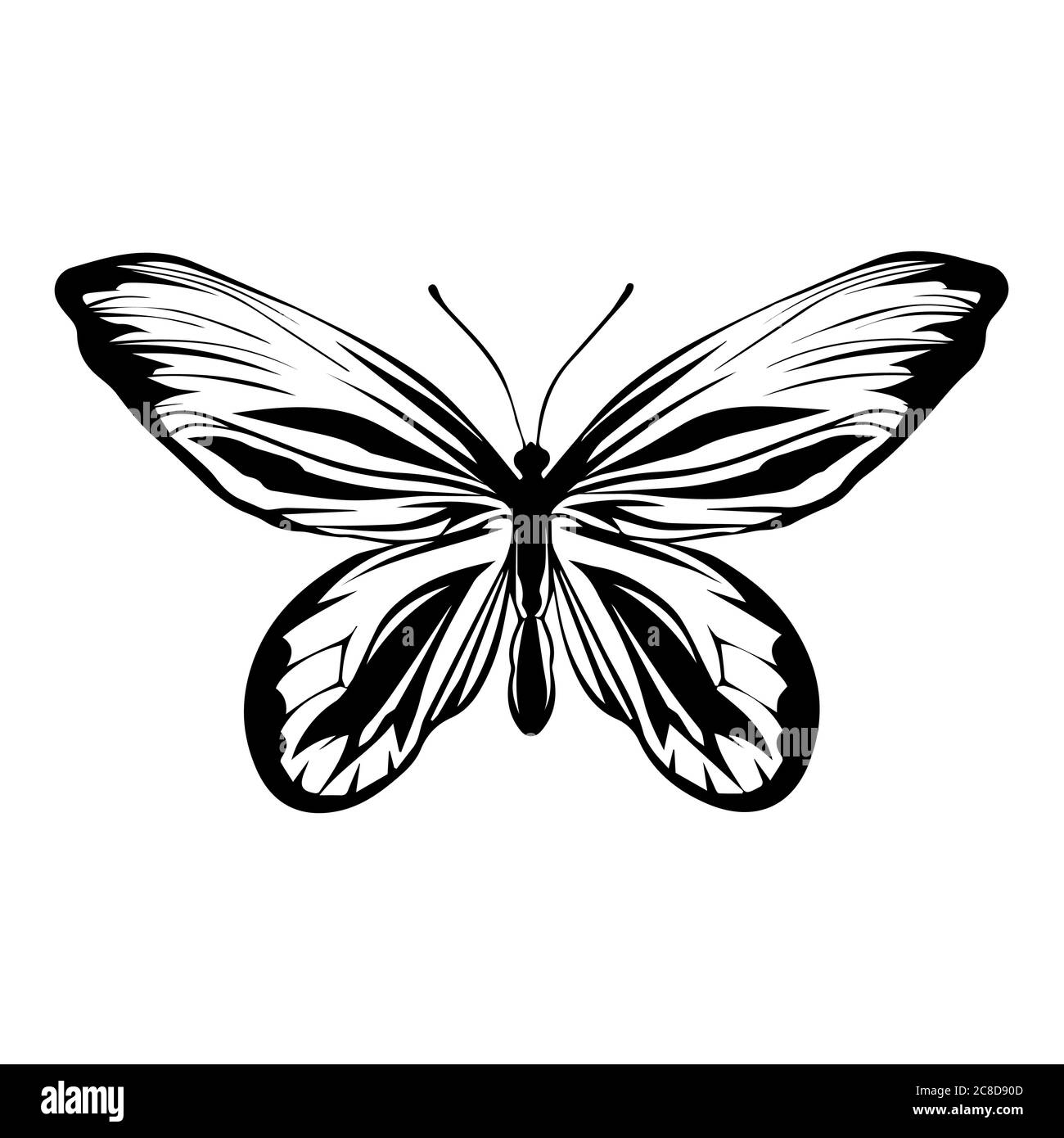 Silhouette, circuito di una farfalla tropicale, isolato su sfondo bianco. Illustrazione Vettoriale