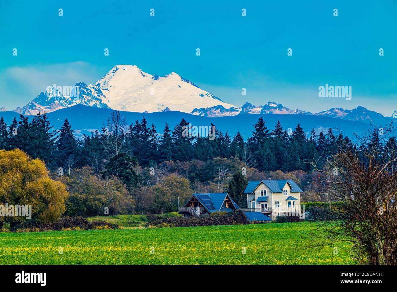 Fattoria Snowy Mount Baker Mountains Skagit Valley Washington Foto Stock