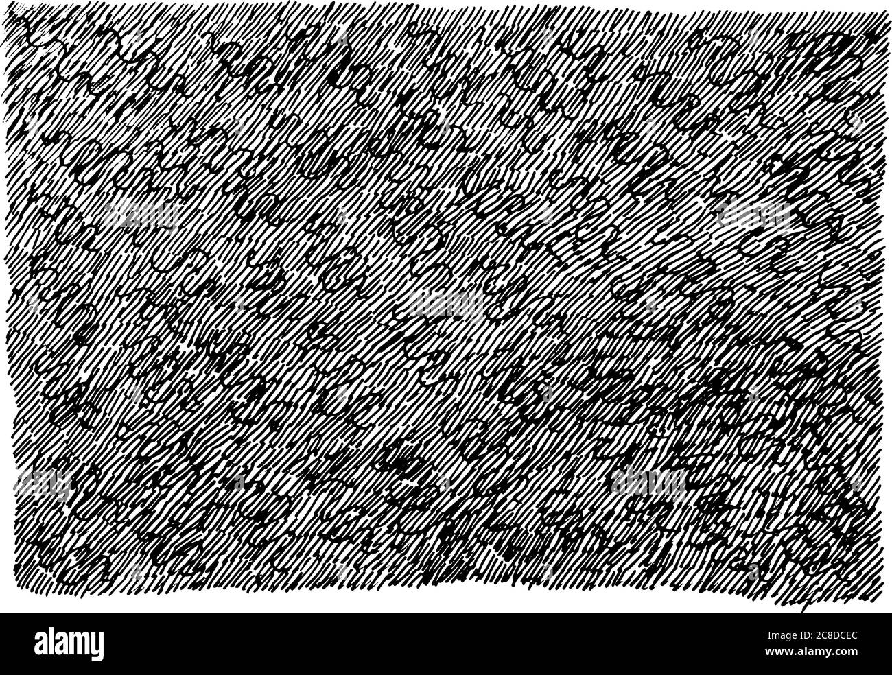 Inchiostro grunge trama disegnata a mano. Sfondo bianco e nero per il design. Stile Street art. Disegno vettoriale. Illustrazione Vettoriale