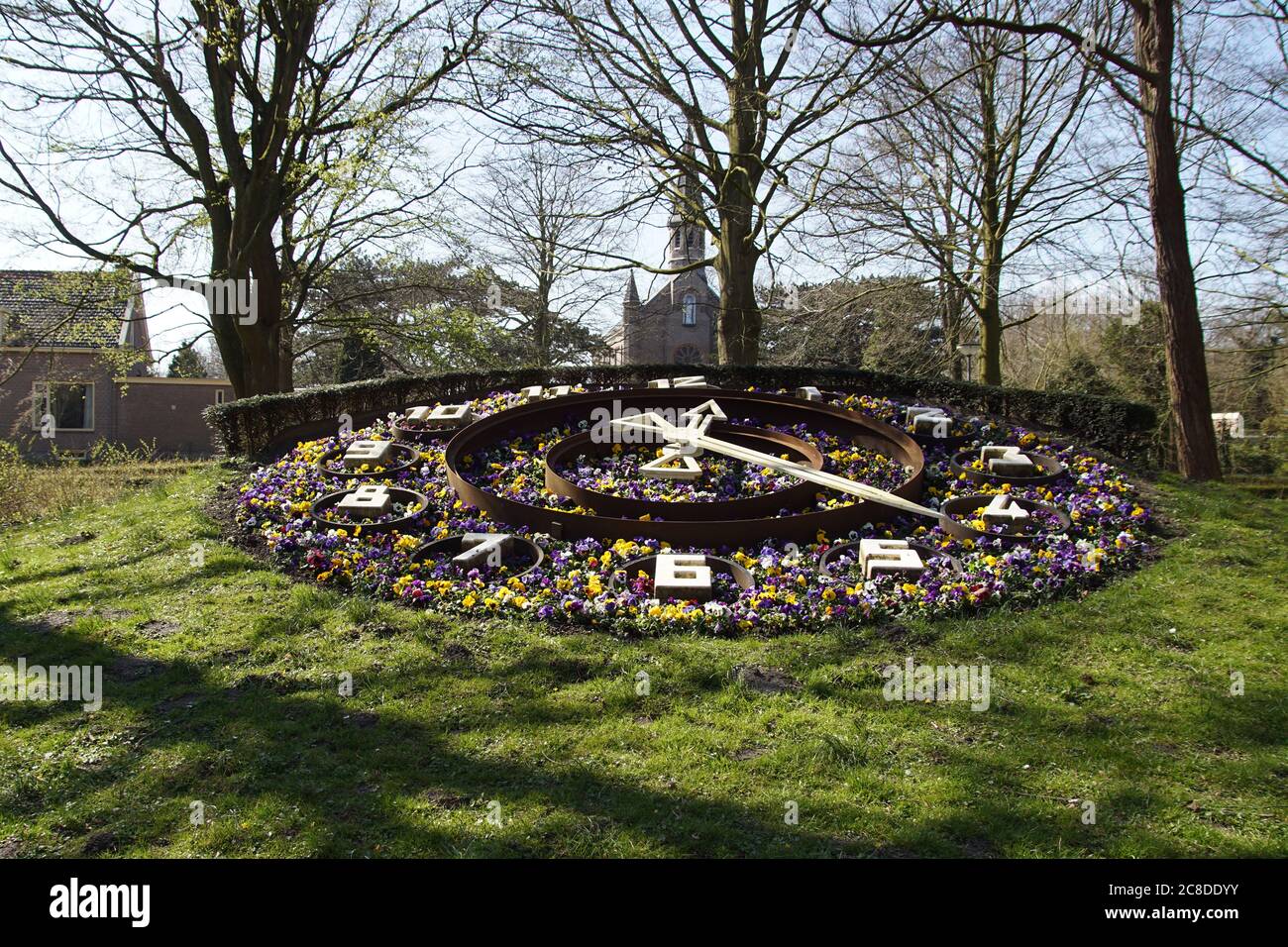 Orologio dei fiori con pansies giardino nel parco Alkmaarderhout della città olandese di Alkmaar con una piccola chiesa sullo sfondo. Paesi Bassi, marzo 26, Foto Stock