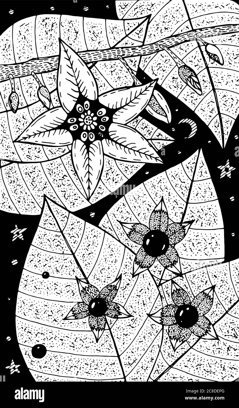 Ombra notturna - illustrazione dei fiori. Disegno floreale in inchiostro bianco e nero. Libro da colorare per adulti. Disegno vettoriale. Illustrazione Vettoriale