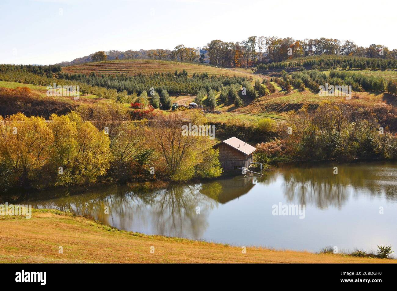 Paesaggio di una fattoria di mele in funzione situata su un lago pittoresco ai piedi delle montagne Appalachi Foto Stock