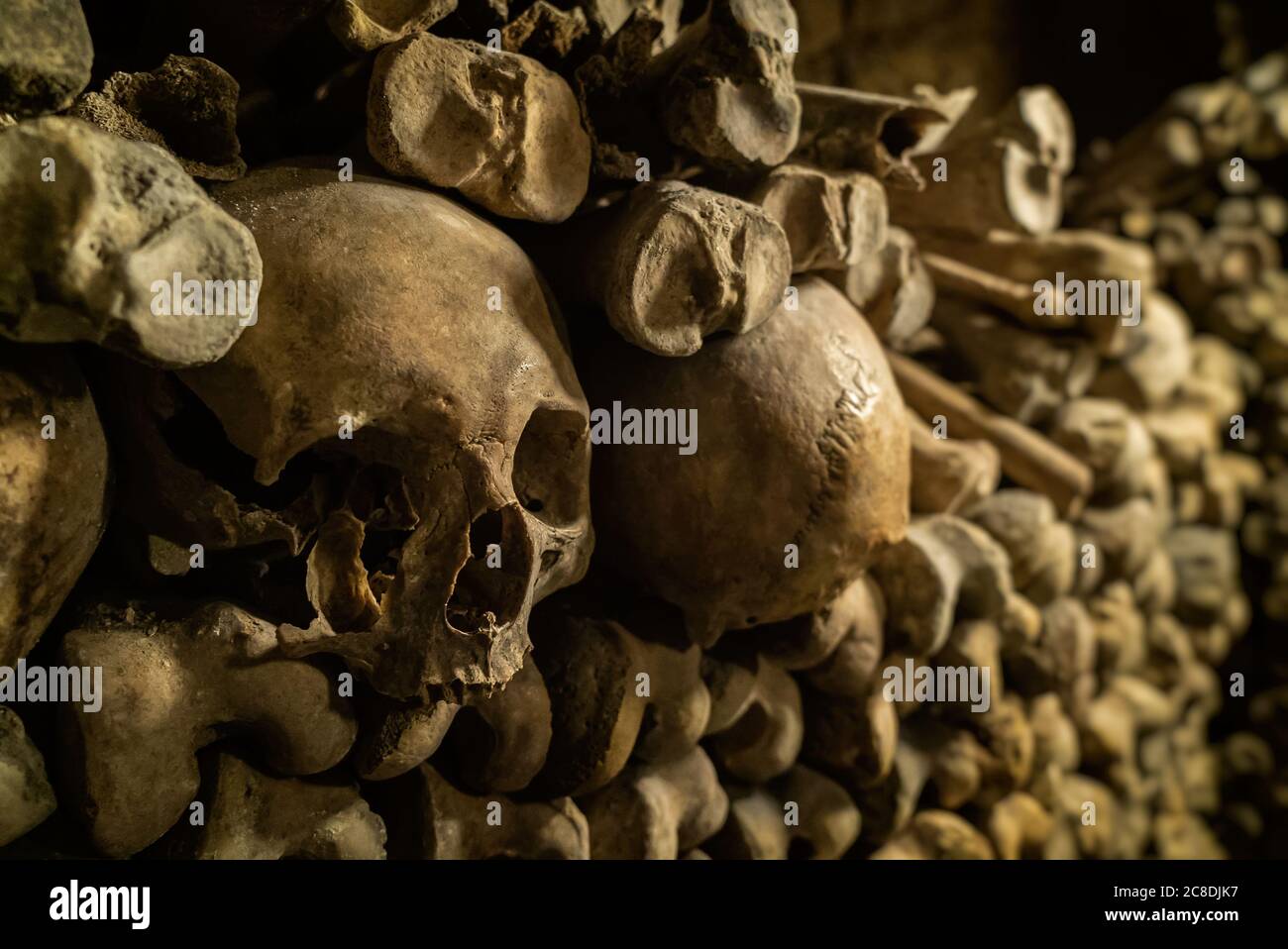 Parete di ossa con una fila di teschi. Teschi e ossa nelle catacombe. Cimitero sotterraneo. Foto Stock
