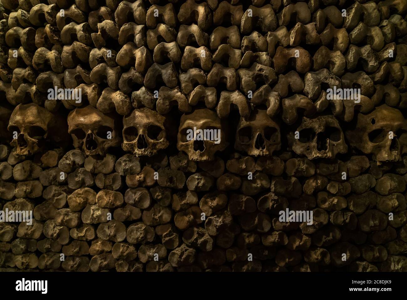 Parete di ossa con una fila di teschi. Teschi e ossa nelle catacombe. Cimitero sotterraneo. Foto Stock