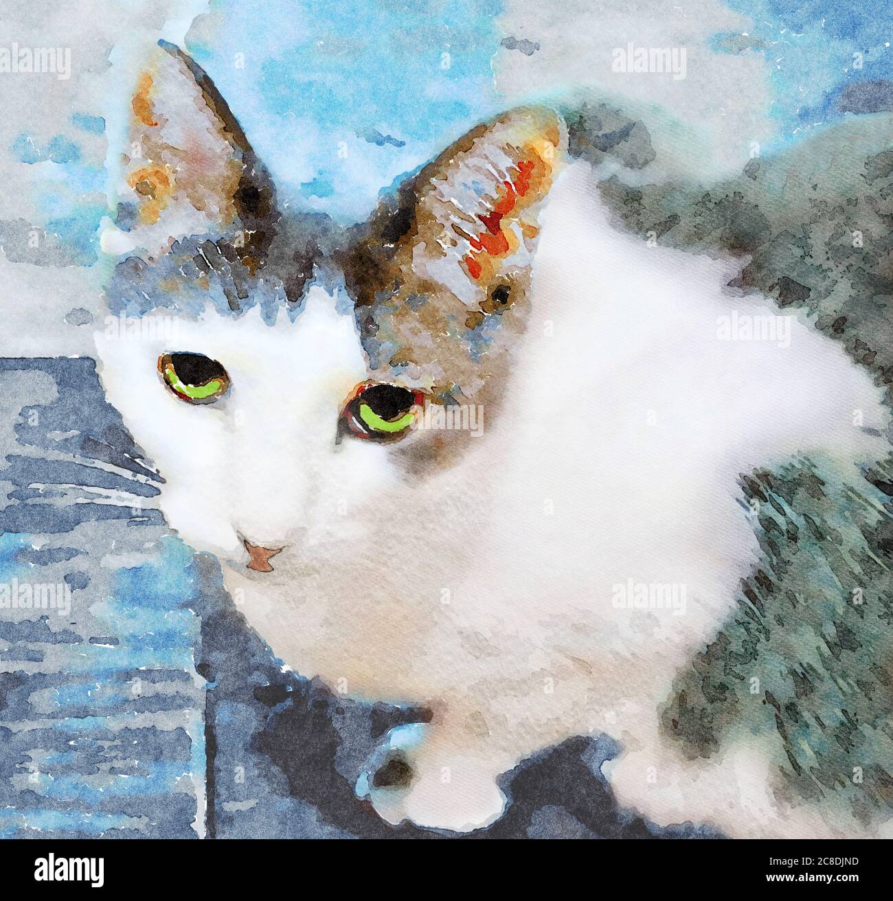illustrazione digitale di un gatto grigio e bianco con occhi verdi accovacciati e guardando in su con un volto triste Foto Stock