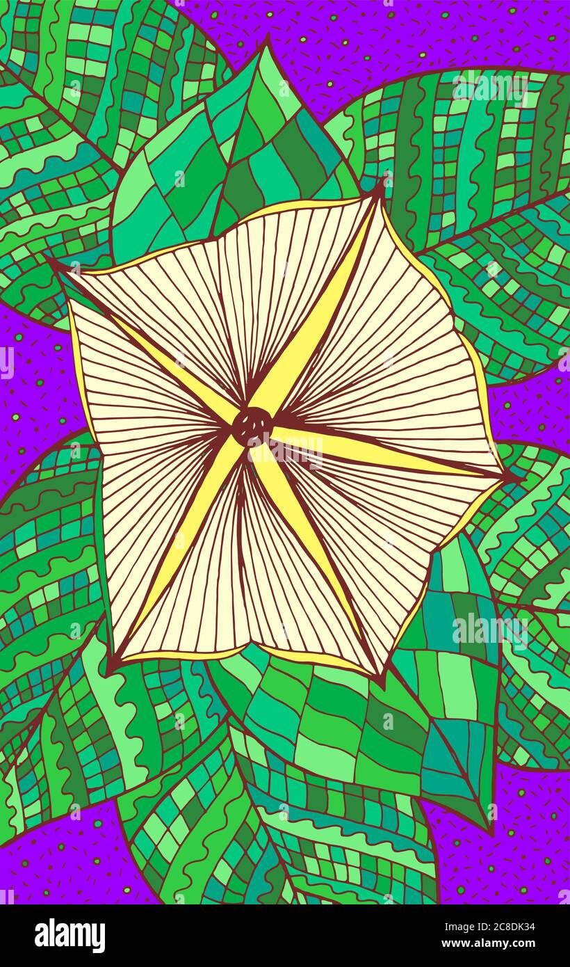 Moonflower - illustrazione floreale. Disegno di piante colorate. Grafica psichedelica multicolore line art. Illustrazione Vettoriale