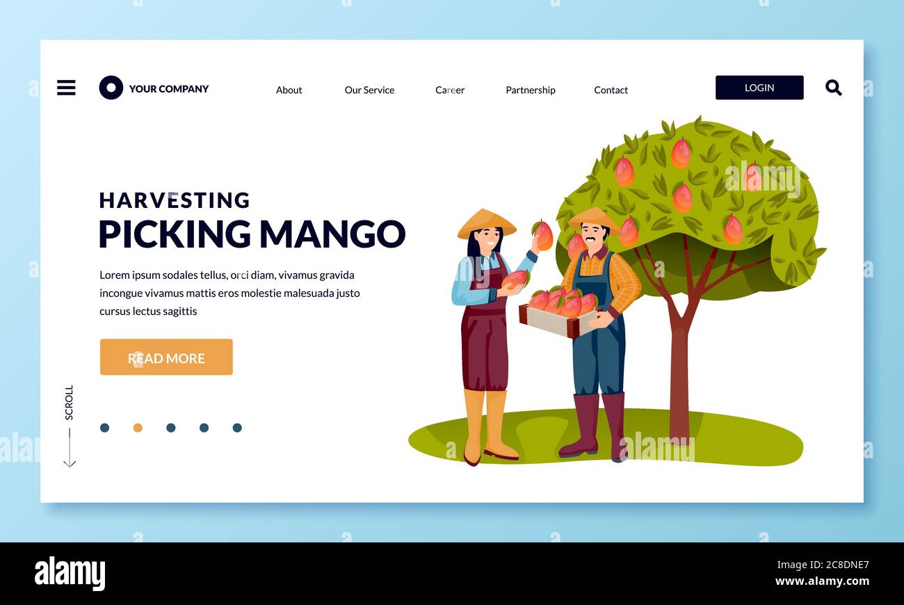 Raccolta stagionale e agricoltura Asia concetto di agricoltura. Felice giovane asiatico uomo e donna che raccoglie mango maturo nel cesto nel giardino della frutta. Piatto vettoriale Illustrazione Vettoriale