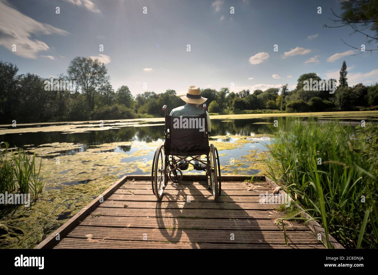 Un piccolo molo sporge nelle acque ferme in un pomeriggio estivo, permettendogli di godere l'ambiente rilassante all'interno dell'oasi alberata di una sma Foto Stock